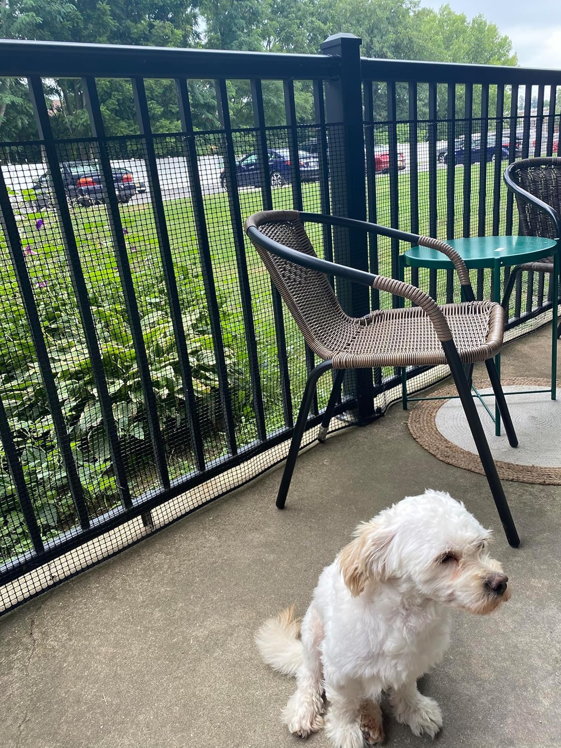 Heavy Duty Deck Guard