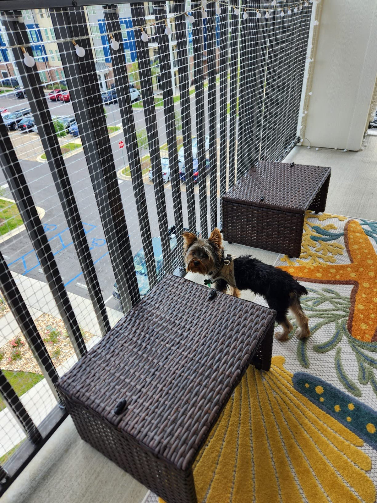 KidKusion Deck Guard | Made in USA | Outdoor Balcony and Stairway Deck Rail Safety Net | Child Safety; Pet Safety; Toy Safety